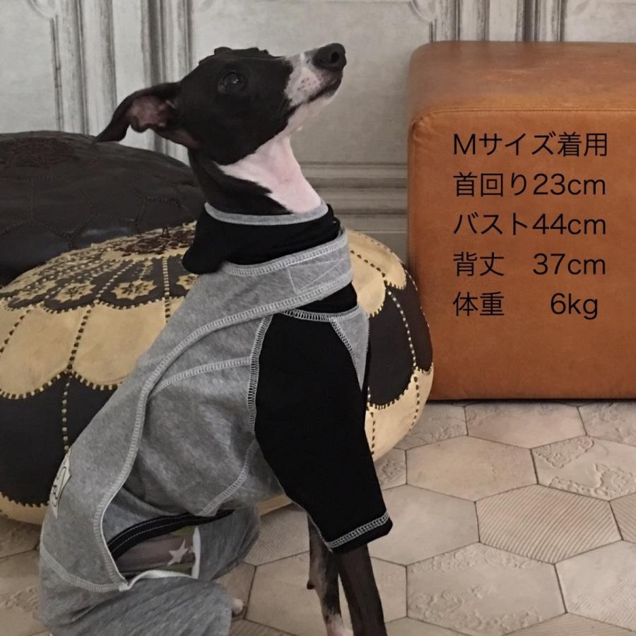 △フードパーカー（イタリアングレイハウンド イタグレ イタグレ服