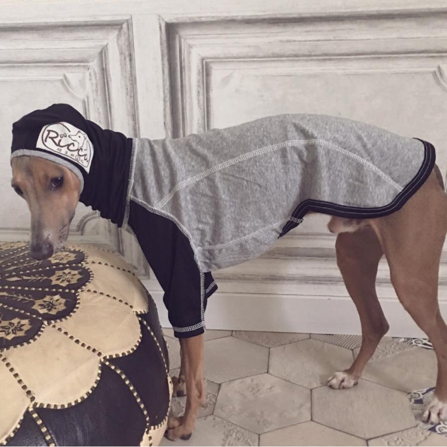 △フードパーカー（イタリアングレイハウンド イタグレ イタグレ服