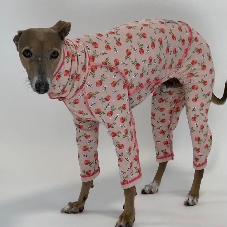 コットンおねんねロンパース （イタリアングレイハウンド イタグレ