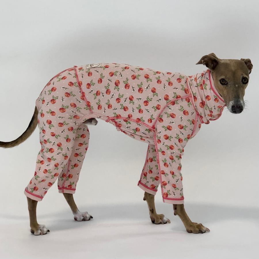 コットンおねんねロンパース （イタリアングレイハウンド イタグレ