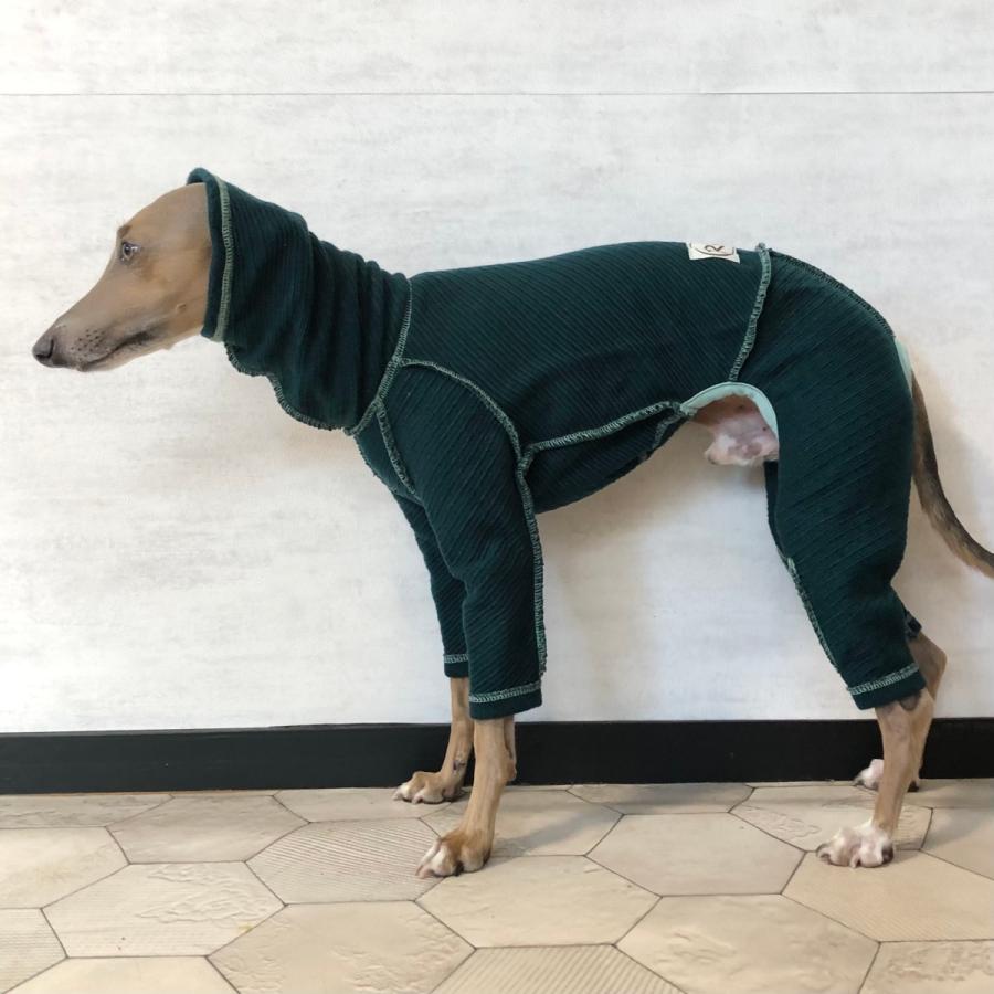 ウールニットカルゼロンパース（イタリアングレイハウンド イタグレ