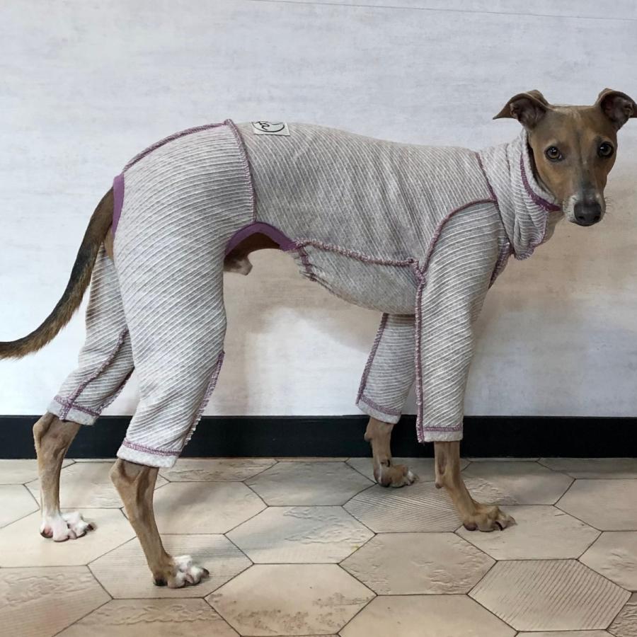 ウールニットカルゼロンパース（イタリアングレイハウンド イタグレ