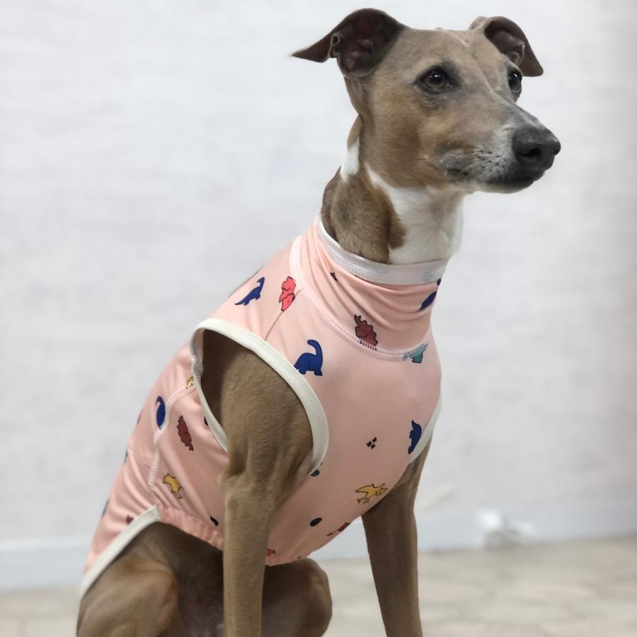 ひんやり ラッシュガードタンク UVカット 熱中症対策 水遊び