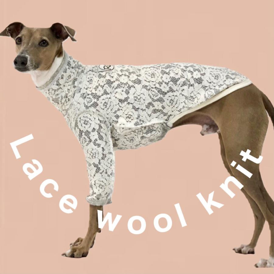 ポコポコウールニットT（イタリアングレイハウンド イタグレ イタグレ