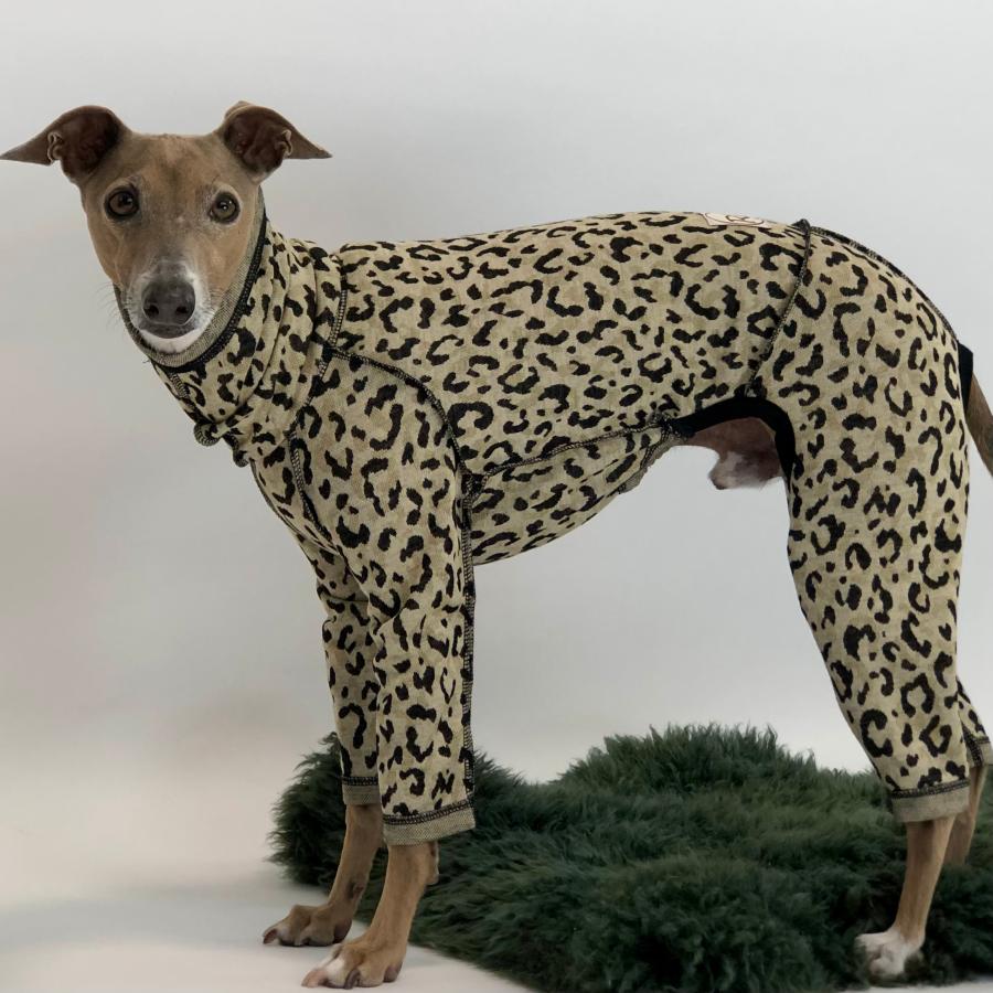 レオパードロンパース 【すみません犬ですか？】Are you a dog? Or