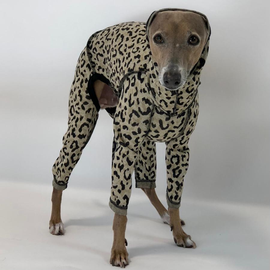 レオパードロンパース 【すみません犬ですか？】Are you a dog? Or