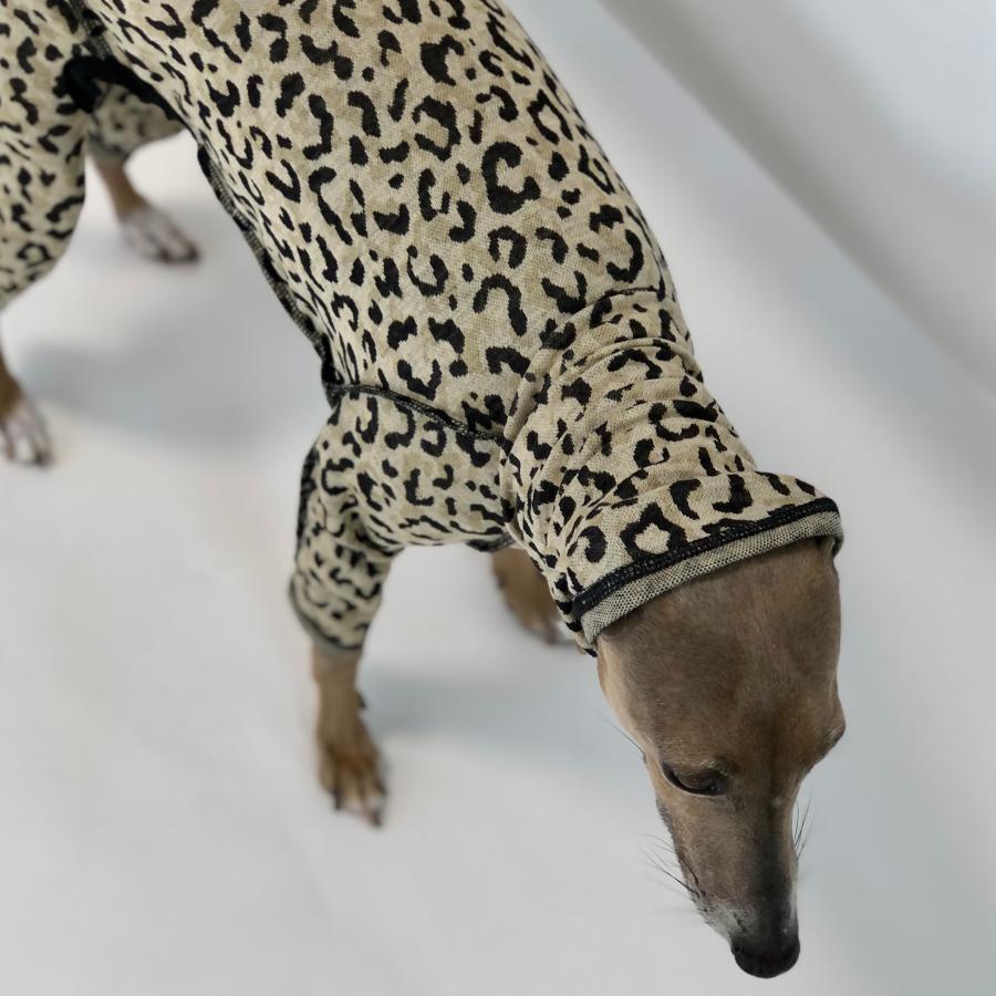 レオパードロンパース 【すみません犬ですか？】Are you a dog? Or