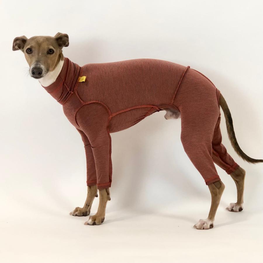 蓄熱、保温 あったか もじもじロンパース-2（イタリアングレイハウンド