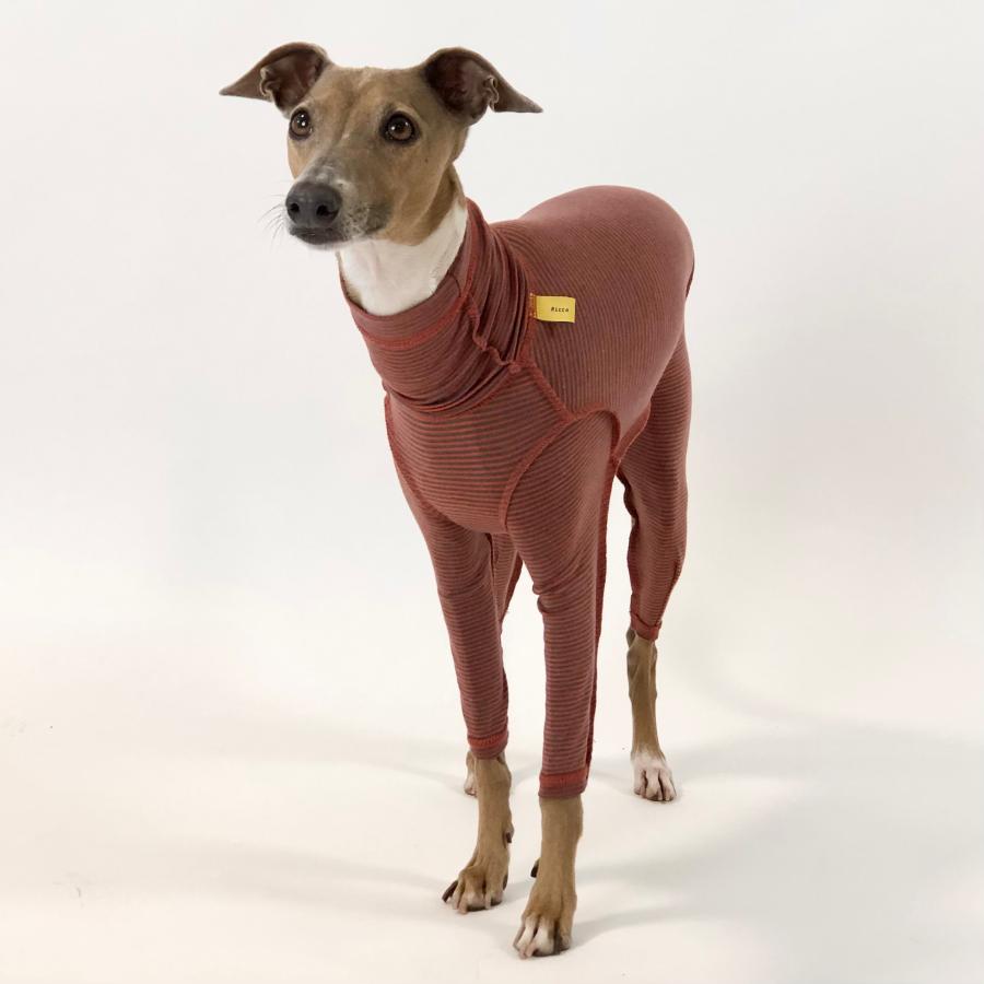 蓄熱、保温 あったか もじもじロンパース-2（イタリアングレイハウンド