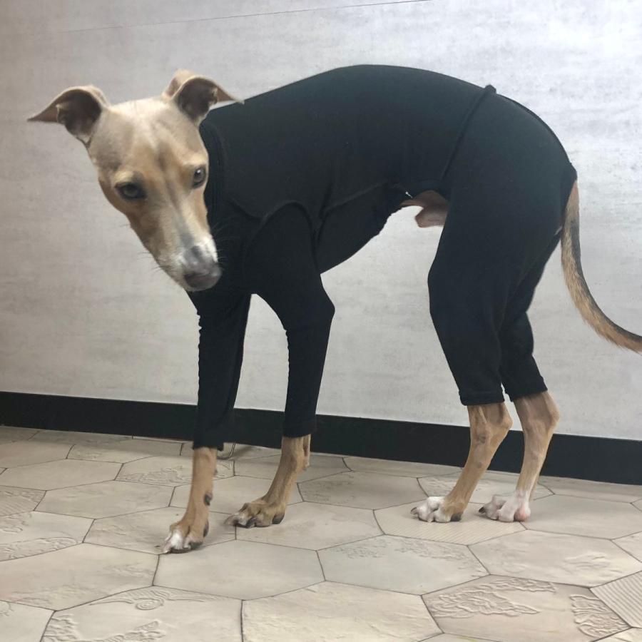 蓄熱、保温 あったか もじもじロンパースベーシック（イタリアン