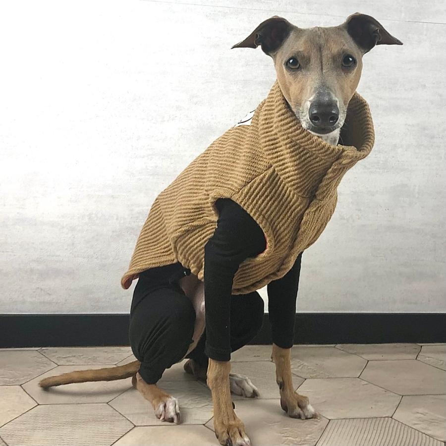 蓄熱、保温 あったか もじもじロンパースベーシック（イタリアン