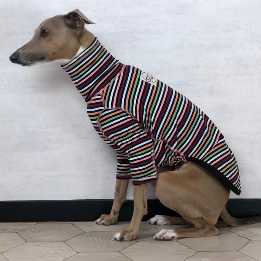 XXL マルチボーダーT （イタリアングレイハウンド イタグレ イタグレ