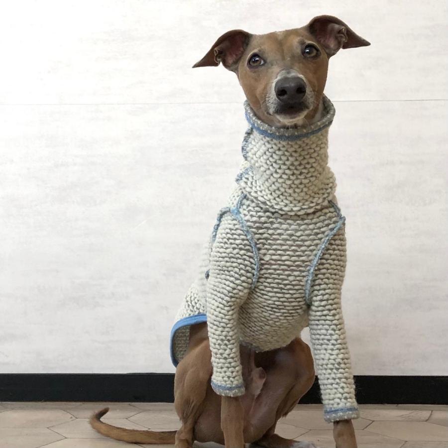 ポコポコウールニットT（イタリアングレイハウンド イタグレ イタグレ