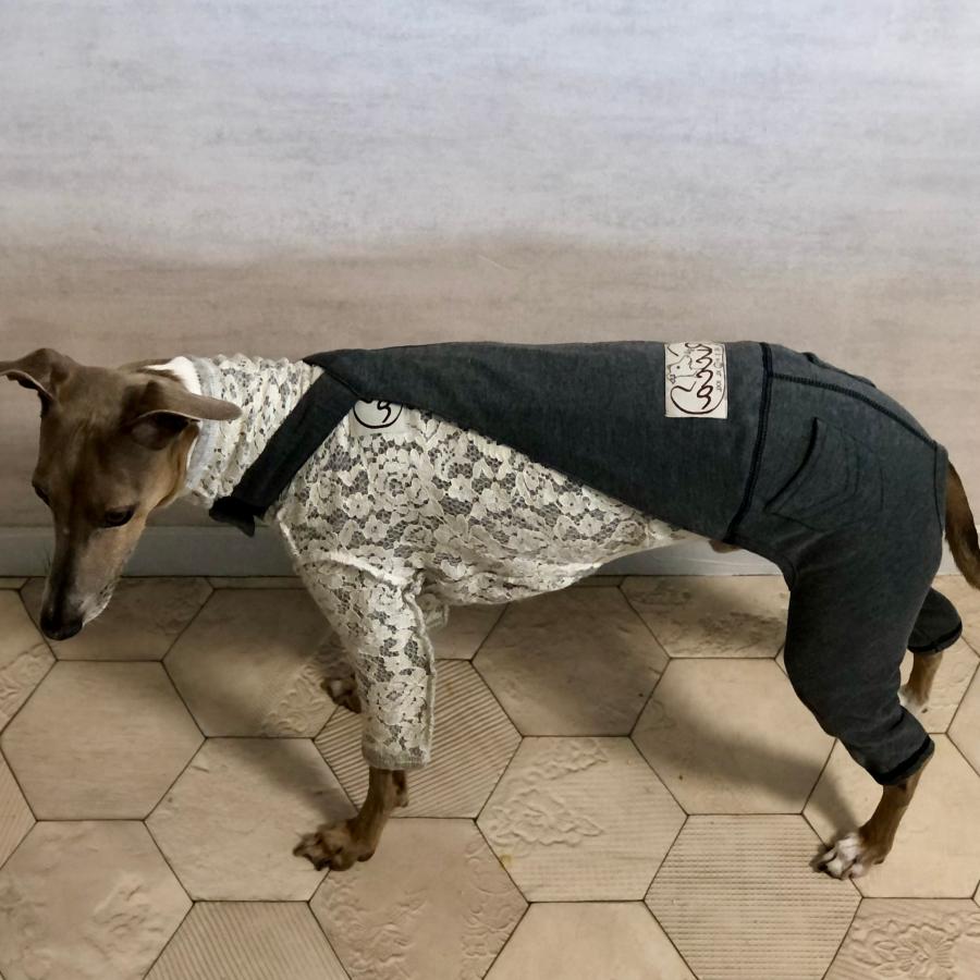 ストレッチサロペット （イタリアングレイハウンド イタグレ イタグレ