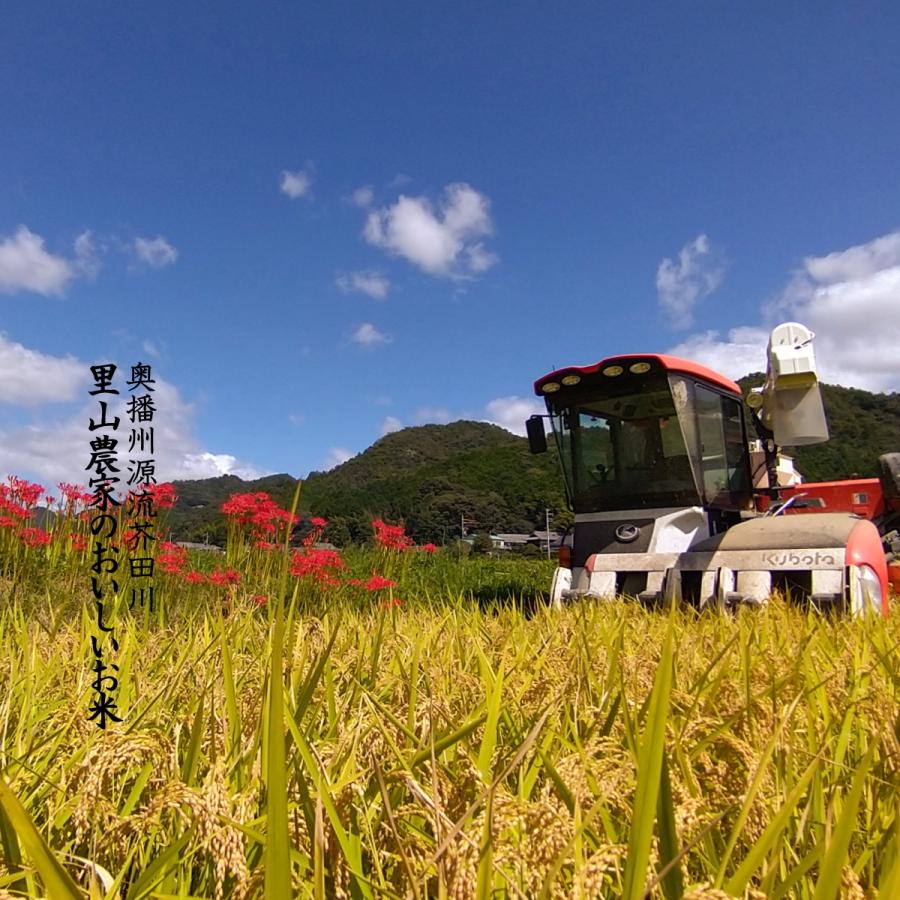 コシヒカリ 新米予約 令和7年産 新米 お米 30kg 送料無料 無洗米 精米 