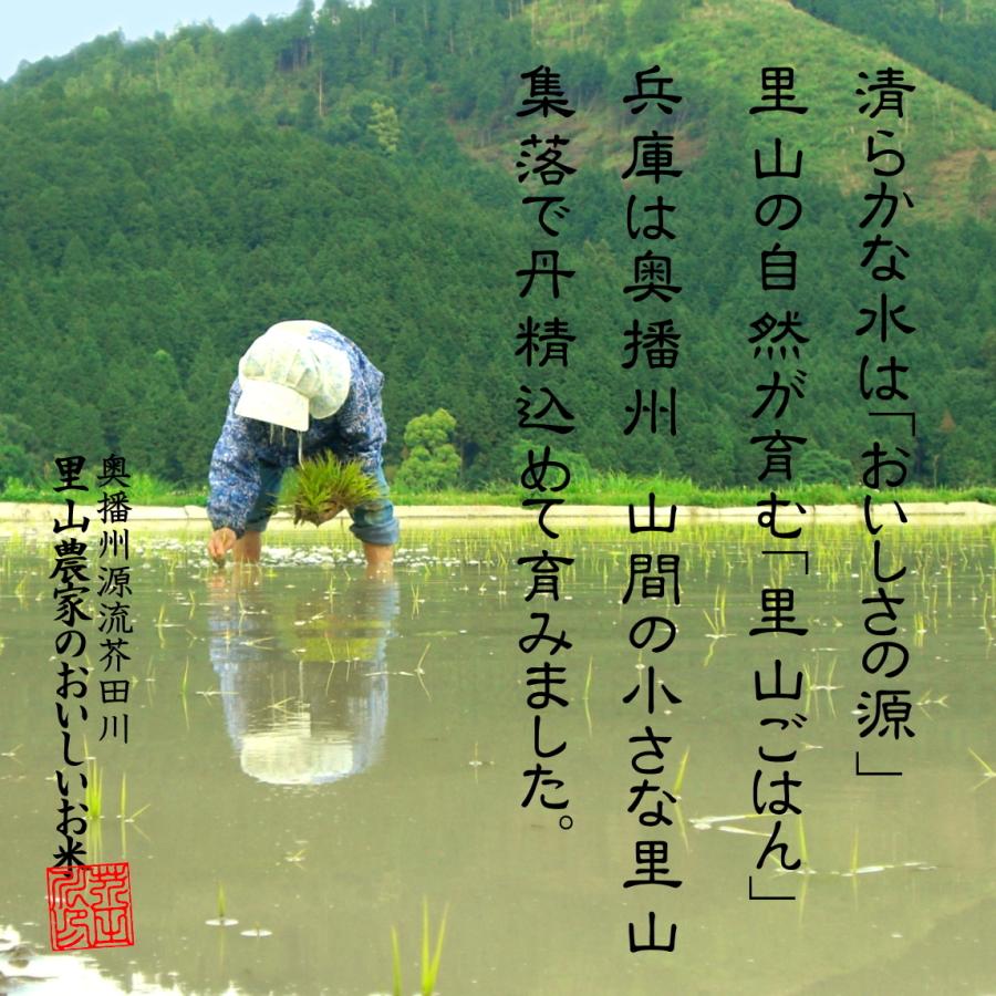 農家直送 和歌山県産 キヌヒカリ 玄米30kg 令和３年産　限定1個 和歌山県産ヒノヒカリ/玄米/30kg/令和6年産 | 有限会社 朝日食糧