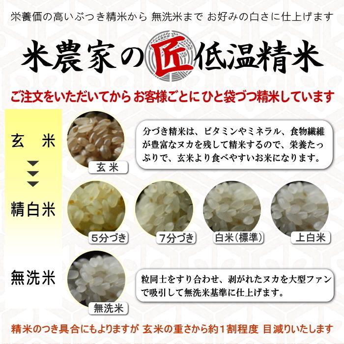 新米予約 令和6年産 新米 お米 10kg×3 30kg 送料無料 選べるオーダー精米 清流きぬひかり芥田川 農家直送 3分づき 5分づき 7分づき 白米 無洗米 贈答｜rice-jp2｜04