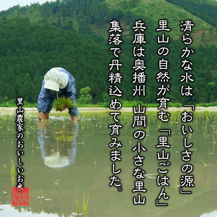 新米予約 令和6年産 新米 お米 10kg×2 20kg 送料無料 選べるオーダー精米 奥播州源流芥田川産こしひかり芥田川 農家直送 3分づき 5分づき 7分づき 白米 無洗米｜rice-jp2｜02