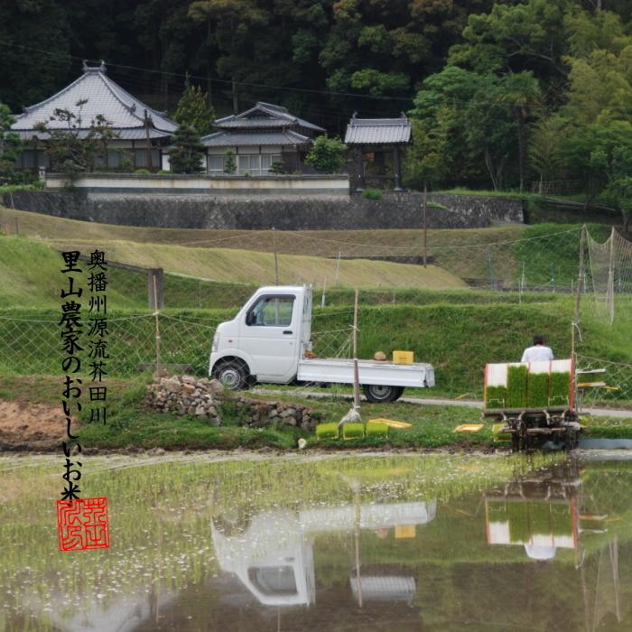 コシヒカリ 令和8年産 新米 米 お米 10kg×2 20kg 送料無料 無洗米 精米