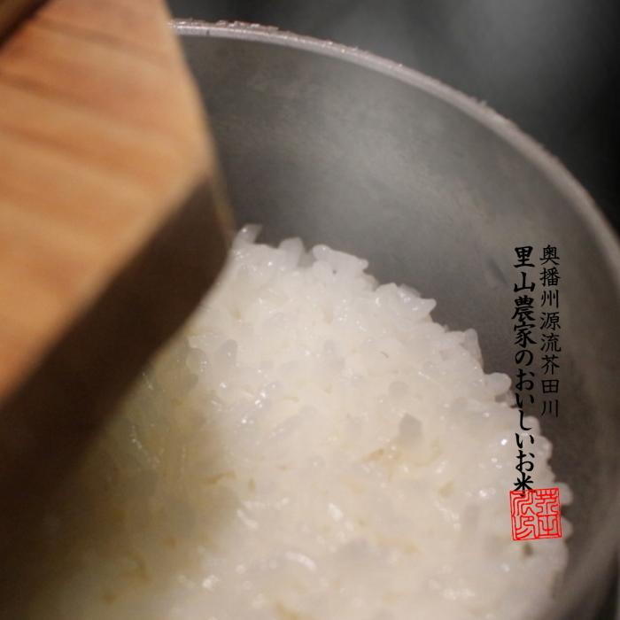 キヌヒカリ 新米予約 令和7年産 新米 お米 30kg 送料無料 玄米に キヌヒカリ 新米予約 令和7年産 新米 お米 30kg 送料無料 玄米に