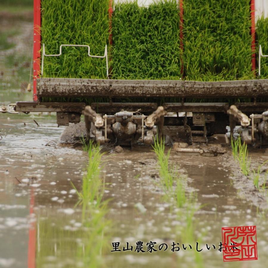 農家直送 和歌山県産 キヌヒカリ 玄米30kg 令和３年産　限定1個 和歌山県産キヌヒカリ/玄米/30kg/令和6年産 | 有限会社 朝日食糧