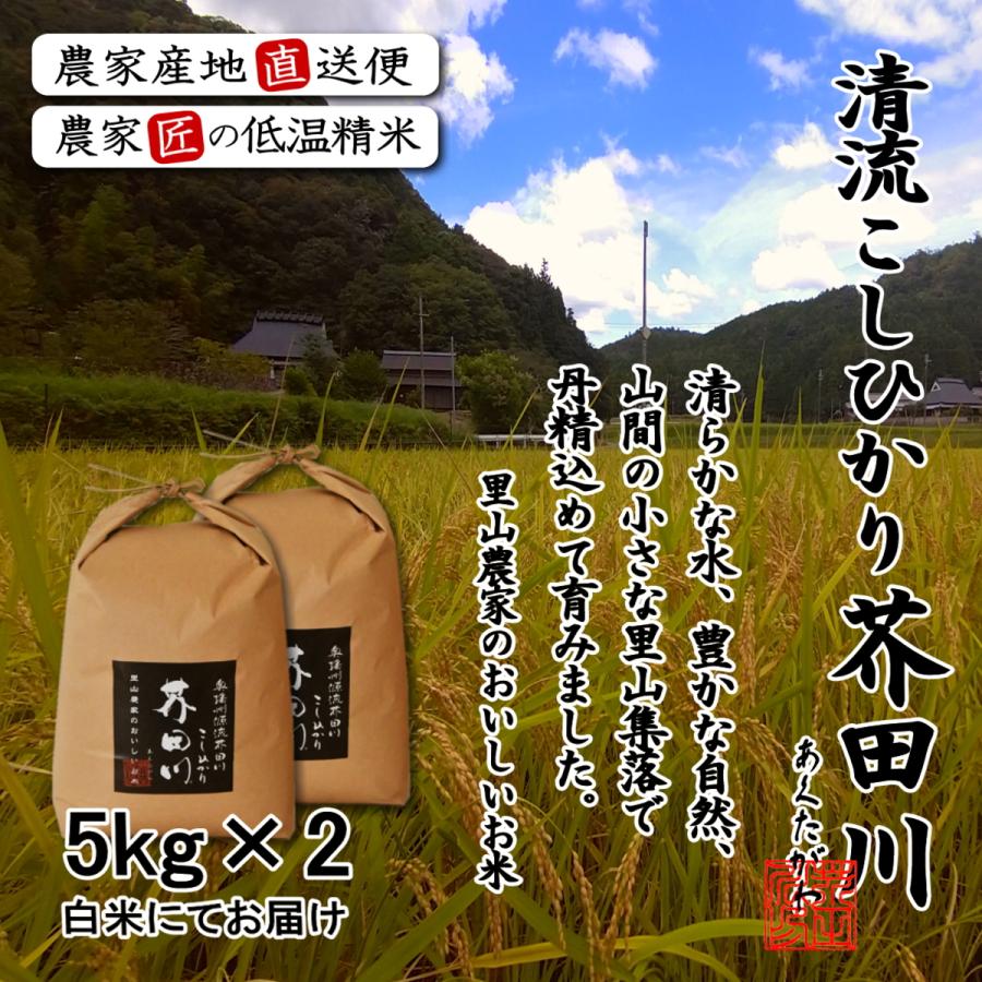 コシヒカリ 【新米予約】 令和8年産 米 お米 5kg×2 10kg 送料無料 