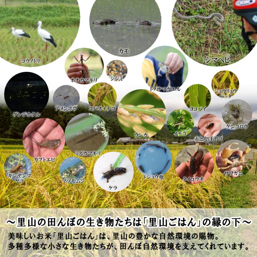 新米予約 令和6年産 新米 お米 5kg 送料無料 無洗米 精米にて 令和5年産 奥播州源流芥田川産こしひかり芥田川 農家直送便 厳選米 お米ギフト 贈答｜rice-jp2｜03