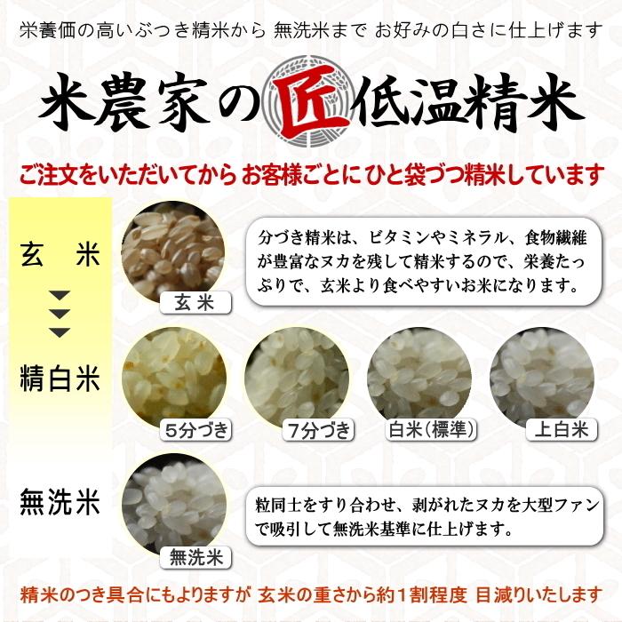 新米予約 令和6年産 新米 お米 5kg 送料無料 無洗米 精米にてお届け 清流ひのひかり芥田川 生産農家 産地直送便 低温無洗米精米 お米ギフト 贈答｜rice-jp2｜04