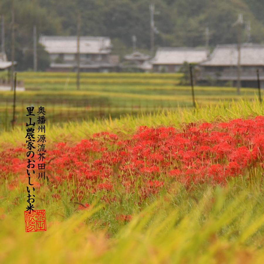 ヒノヒカリ 【令和8年産 新米予約】米 お米 30kg 送料無料 玄米にてお