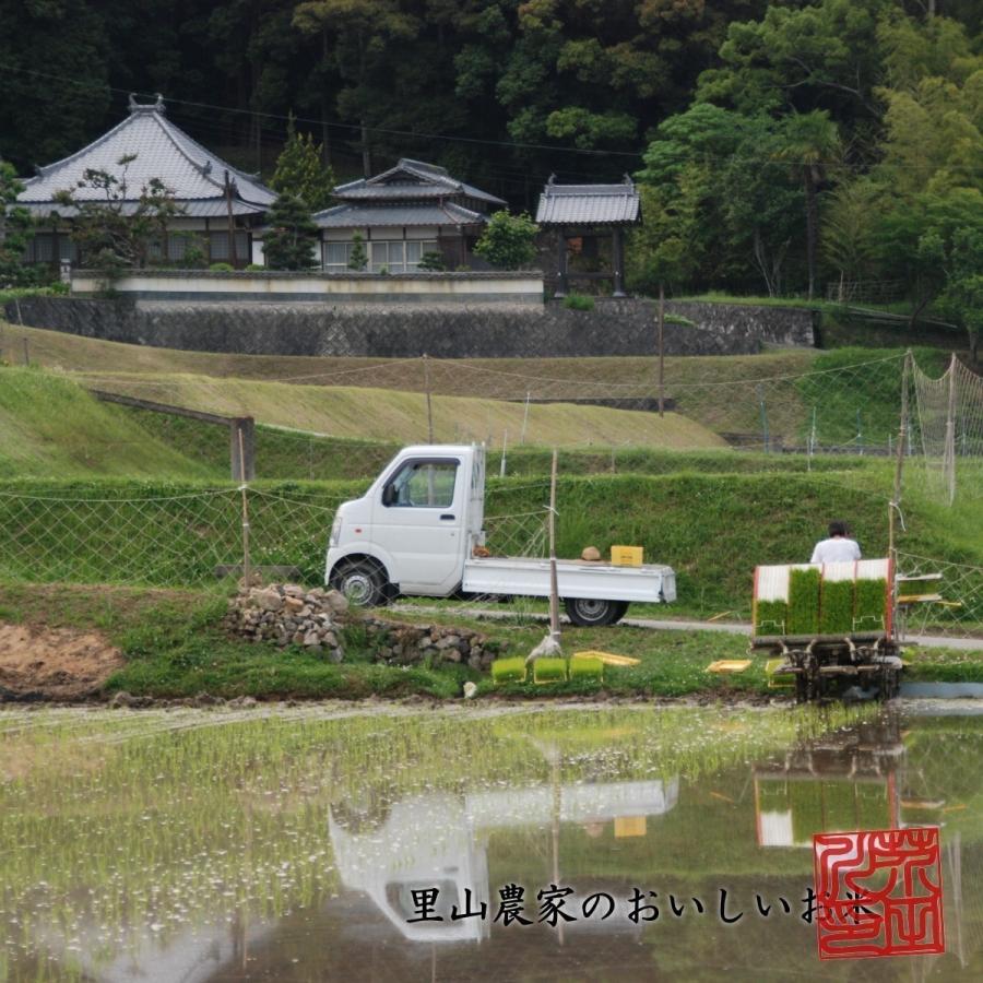 ヒノヒカリ 【令和8年産 新米予約】米 お米 30kg 送料無料 玄米にてお
