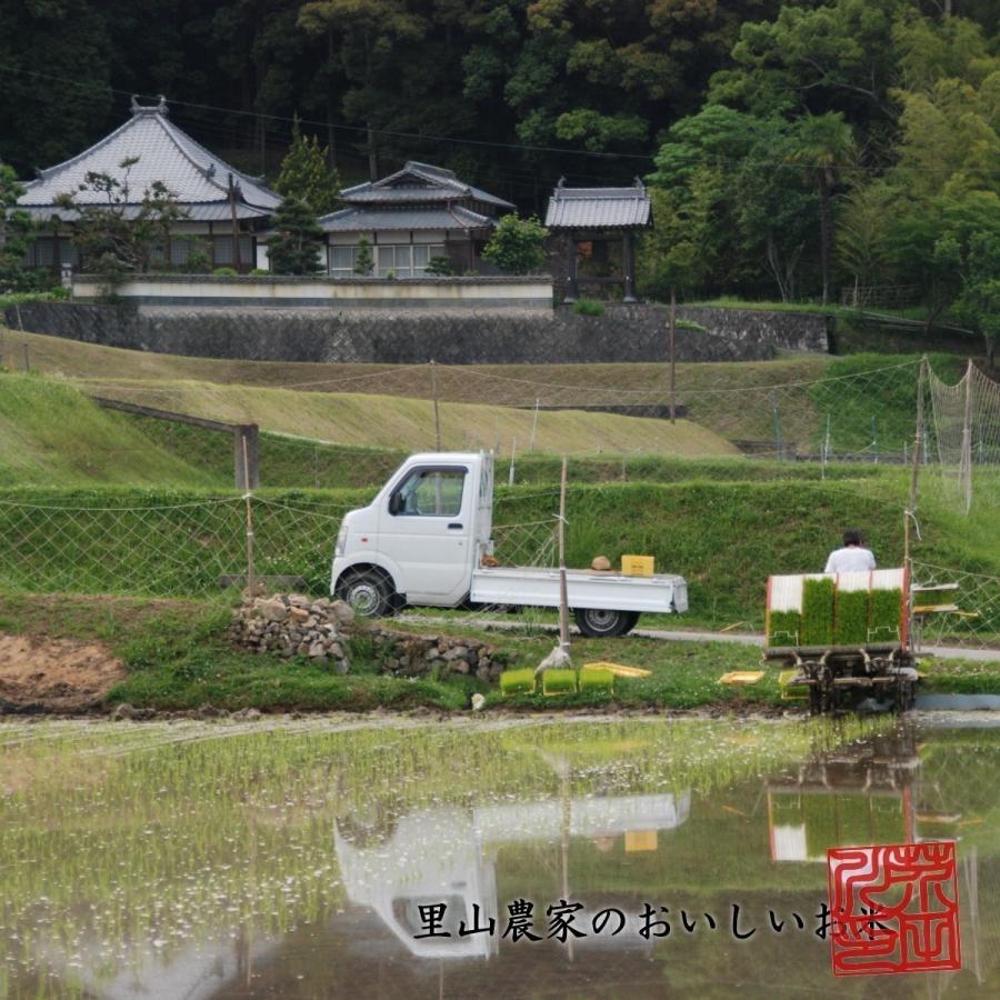 新米予約 令和6年産 新米 お米 30kg 送料無料 玄米にてお届け 清流ひのひかり芥田川 生産農家 産地直送便 玄米食 石抜き済み お米ギフト 贈答｜rice-jp2｜06