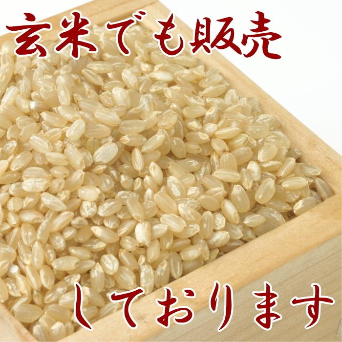 令和５年 お米 送料無料 ミルキークィーン 白米 5kg 富山県産 あすつく  安い 美味しい｜rice-life-eto｜02