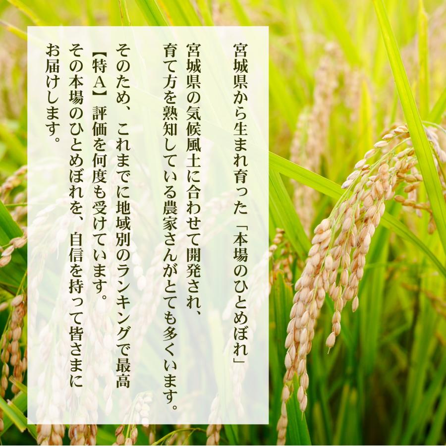 ひとめぼれ 10kg玄米 令和7年産 玄米 ひとめぼれ 10kg 10kg×1袋 2025