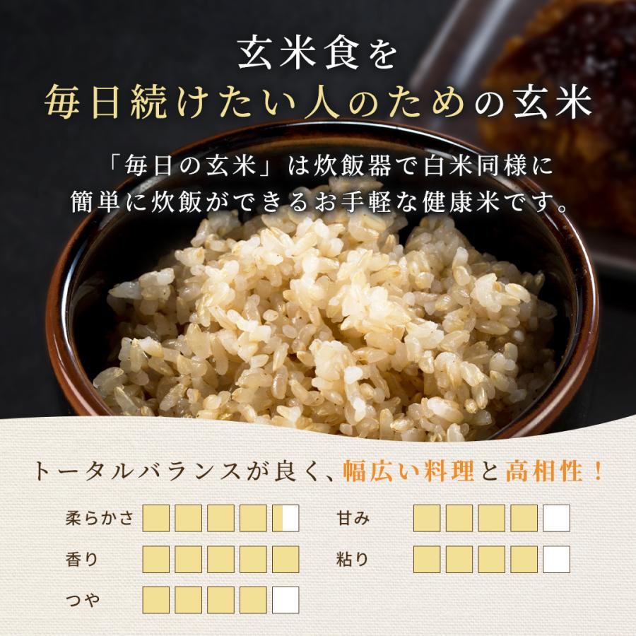 玄米 10kg 毎日の玄米 送料無料 5kg ×2袋 国産 米 10キロ : Rice 玄米 10kg 毎日の玄米 送料無料 5kg ×2袋 国産 米 10キロ : Rice