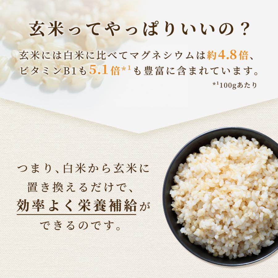 玄米 10kg 毎日の玄米 送料無料 5kg ×2袋 国産 米 10キロ : Rice 玄米 10kg 毎日の玄米 送料無料 5kg ×2袋 国産 米 10キロ : Rice