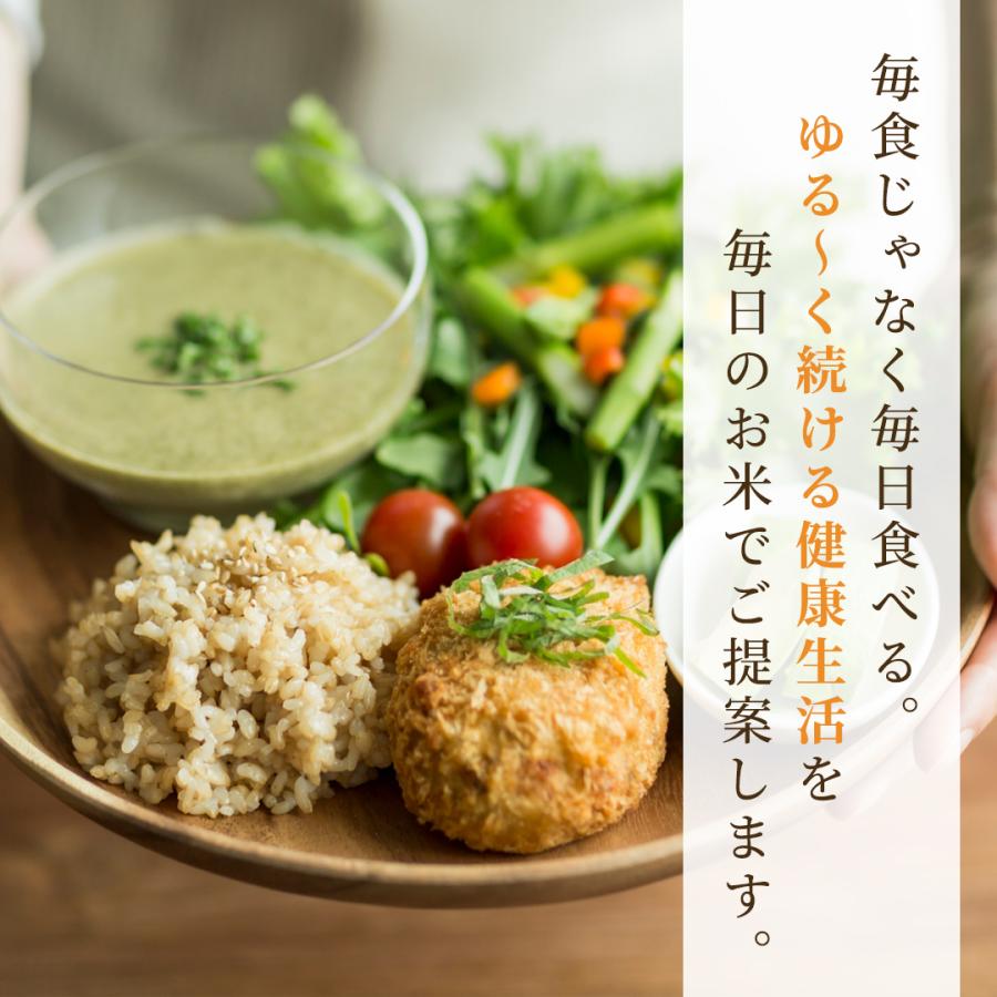 玄米 10kg 毎日の玄米 送料無料 5kg ×2袋 国産 米 10キロ : Rice 玄米 10kg 毎日の玄米 送料無料 5kg ×2袋 国産 米 10キロ : Rice