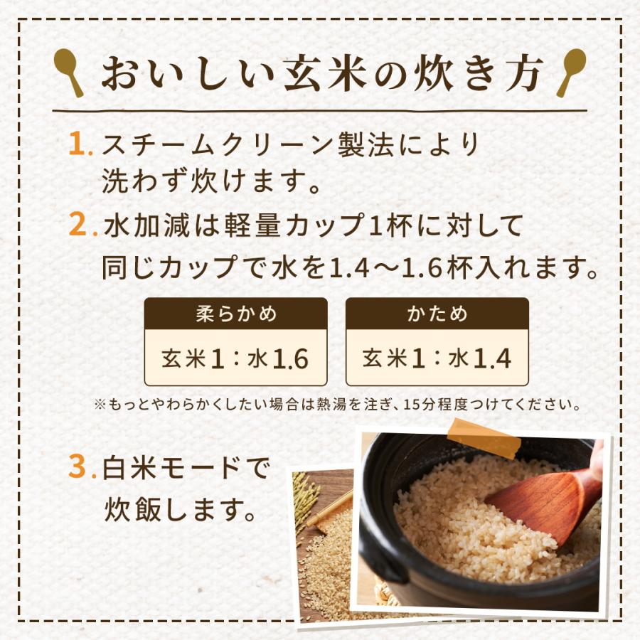 玄米 10kg 毎日の玄米 送料無料 5kg ×2袋 国産 米 10キロ : Rice 玄米 10kg 毎日の玄米 送料無料 5kg ×2袋 国産 米 10キロ : Rice