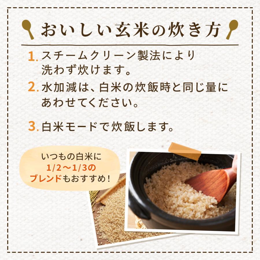 玄米 2kg 毎日の玄米 送料無料 お試し 国産 米 2キロ 長持ち : Rice