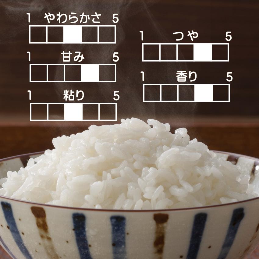 無洗米 新米 30kg 令和5年 宮城県産 まなむすめ 送料無料 10kg×3 無洗米 新米 30kg 令和5年 宮城県産 まなむすめ 送料無料 10kg×3