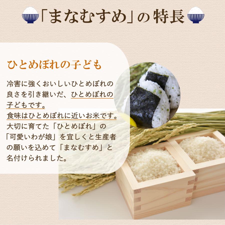 無洗米 新米 30kg 令和5年 宮城県産 まなむすめ 送料無料 10kg×3 無洗米 新米 30kg 令和5年 宮城県産 まなむすめ 送料無料 10kg×3
