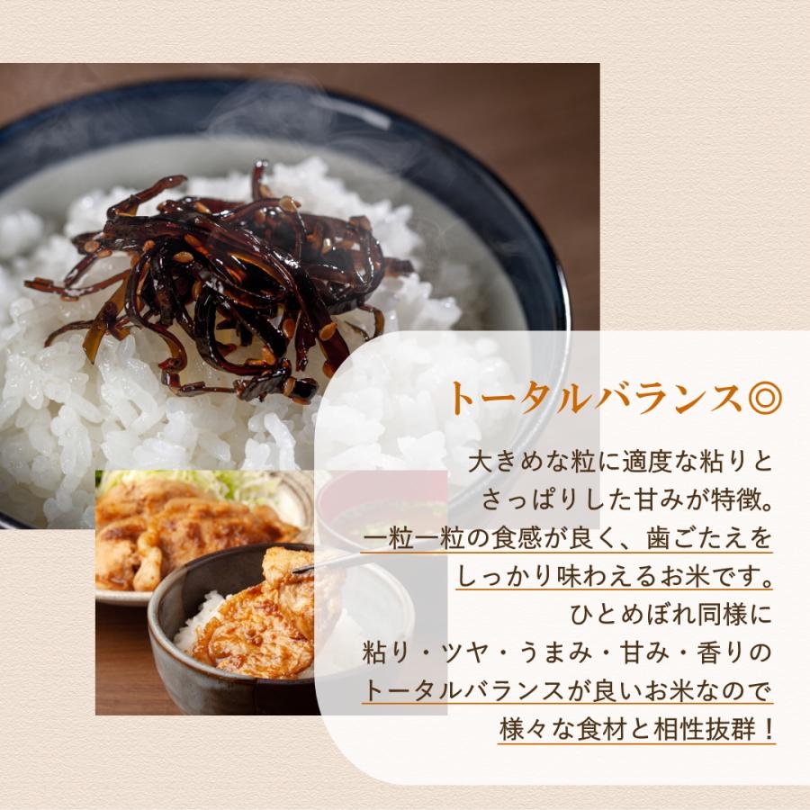無洗米 新米 30kg 令和5年 宮城県産 まなむすめ 送料無料 10kg×3 無洗米 新米 30kg 令和5年 宮城県産 まなむすめ 送料無料 10kg×3