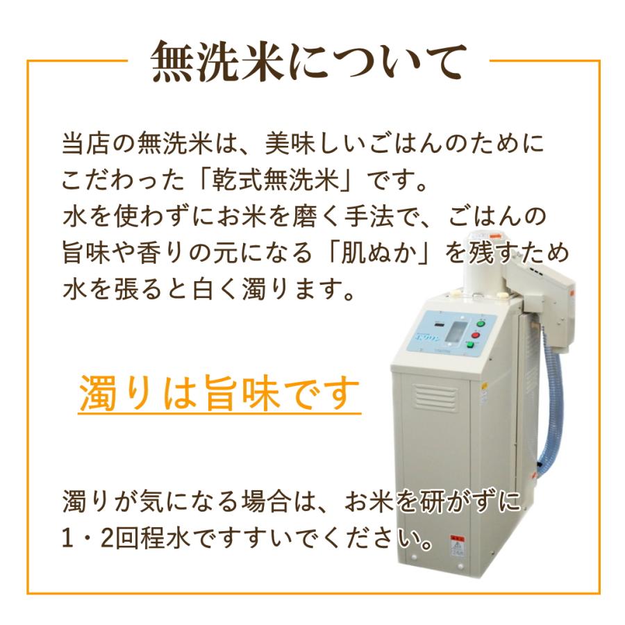 無洗米 新米 30kg 令和5年 宮城県産 まなむすめ 送料無料 10kg×3 無洗米 新米 30kg 令和5年 宮城県産 まなむすめ 送料無料 10kg×3