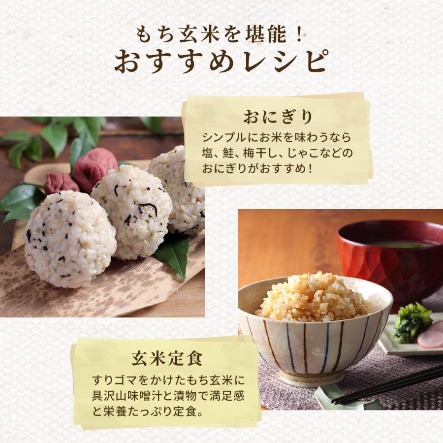 玄米 2kg もち玄米 送料無料 お試し 国内産 米 2キロ : Rice 玄米 2kg もち玄米 送料無料 お試し 国内産 米 2キロ : Rice