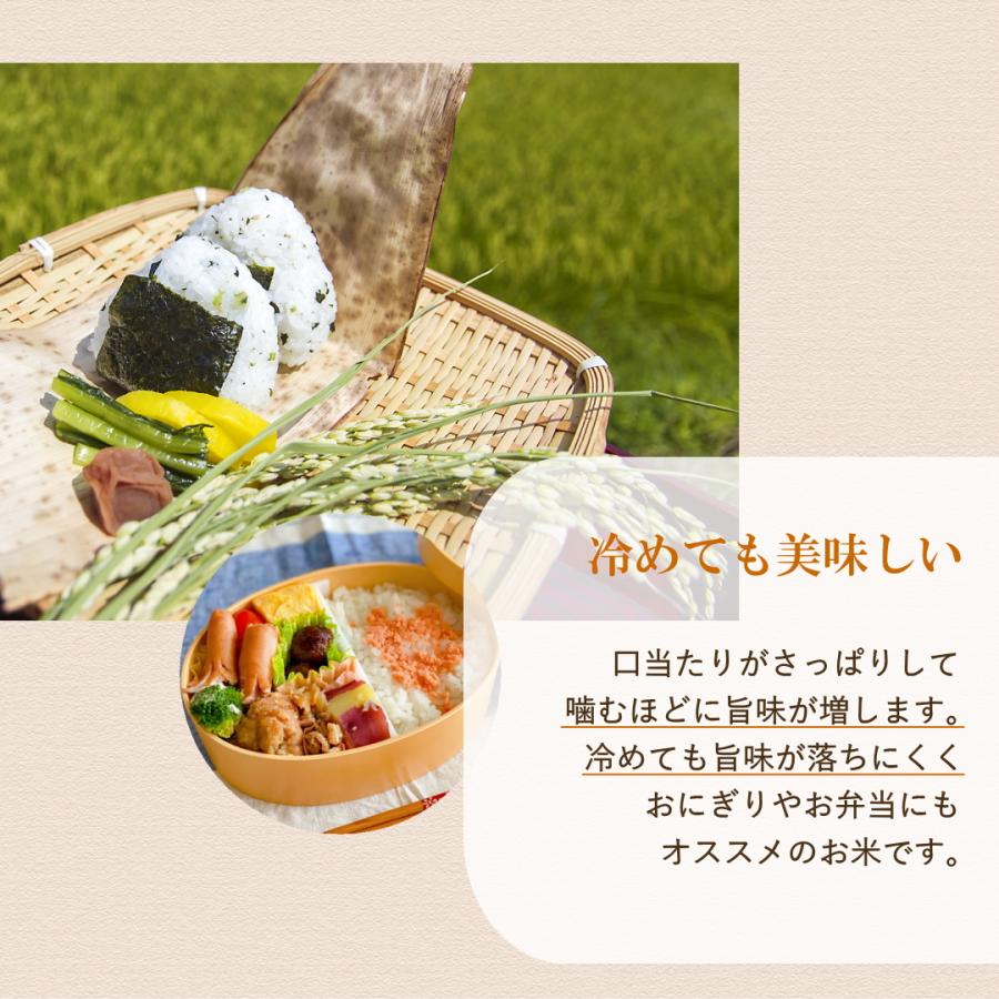 精米日 9月上旬】 新米 10kg 令和6年 宮城県産 ササニシキ 5kg×2 精米日 9月上旬】 新米 10kg 令和6年 宮城県産 ササニシキ 5kg×2