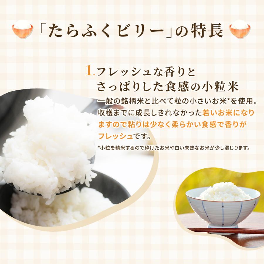 白米 ブレンド米 30kg たらふくビリー 送料無料 訳あり 国産 10kg ×3袋