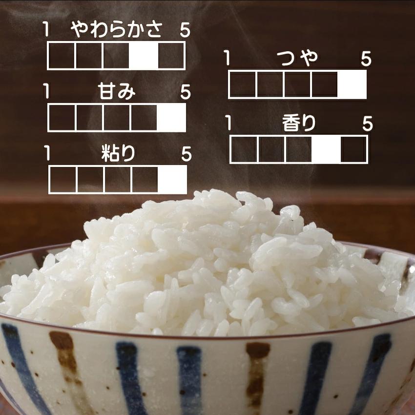 無洗米 新米 10kg 令和7年 宮城県産 つや姫 送料無料 10kg×1袋 : Rice