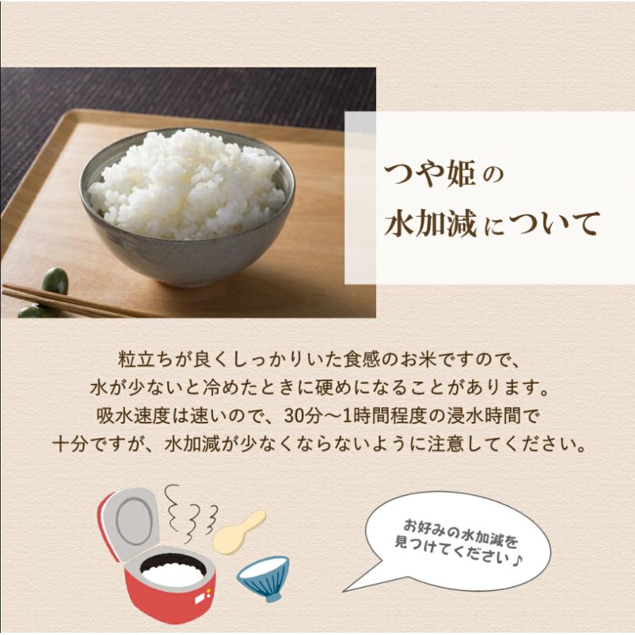 無洗米 新米 10kg 令和7年 宮城県産 つや姫 送料無料 10kg×1袋 : Rice