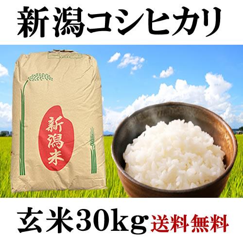 コシヒカリ 令和6年産 新潟県上越産 コシヒカリ玄米 30kg 検査1 コシヒカリ 令和6年産 新潟県上越産 コシヒカリ玄米 30kg 検査1