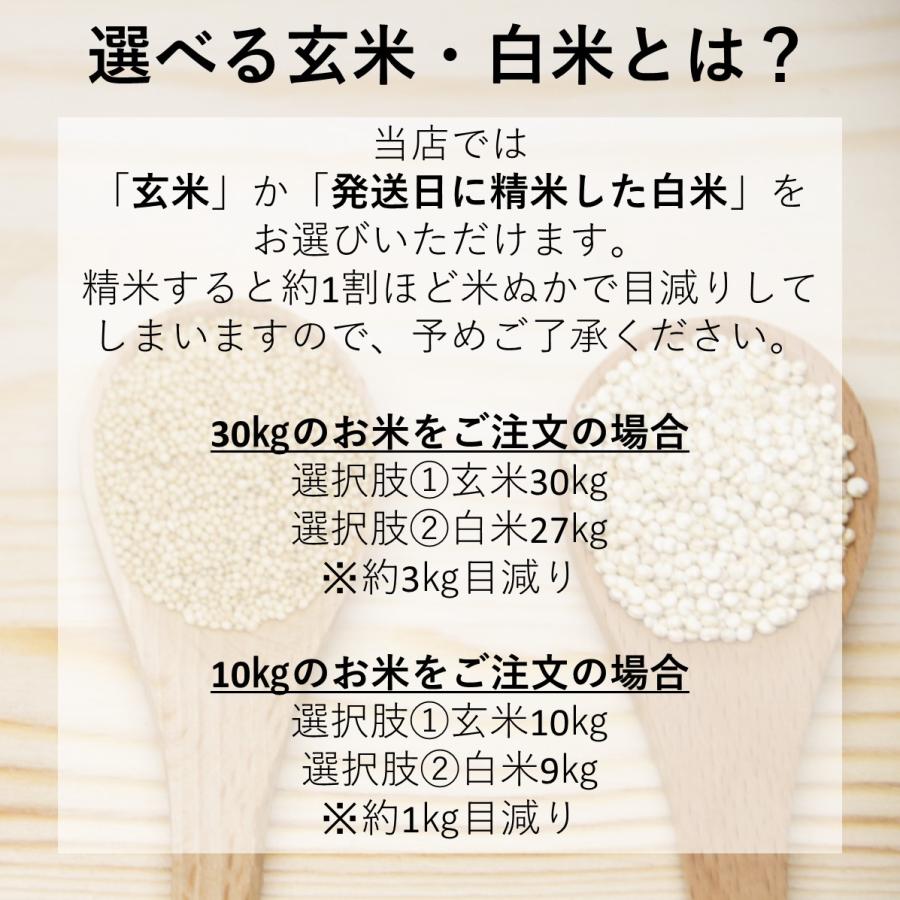 コシヒカリ 令和6年産 新潟県上越産 コシヒカリ玄米 30kg 検査1 コシヒカリ 令和6年産 新潟県上越産 コシヒカリ玄米 30kg 検査1
