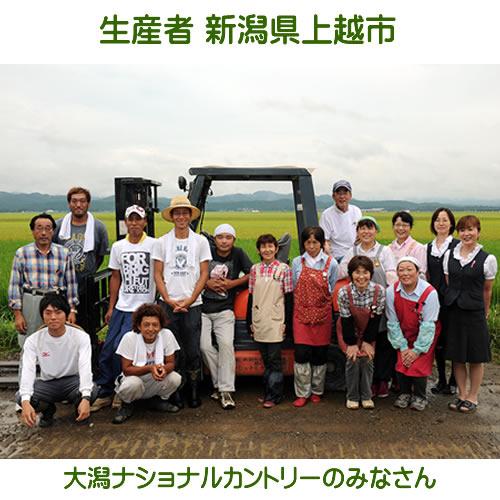 コシヒカリ 令和6年産 新潟県上越産 コシヒカリ玄米 30kg 検査1 コシヒカリ 令和6年産 新潟県上越産 コシヒカリ玄米 30kg 検査1